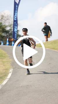 BIB:  <button type="button" onclick="openModal(27777165)" class="btn btn-primary btn-sm float-right" data-toggle="modal" data-target=".modal-high-quality">
                <i class="fa fa-download"></i> Download
                </button>